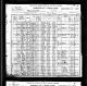 Census-innførsel fra 1900